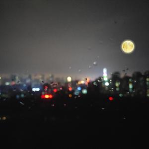 真人实拍女被迫处www
