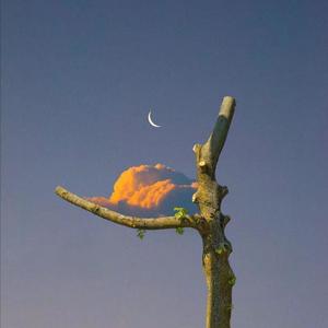 欧美人与性口性校配
