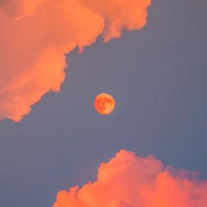 我爱搞登录登录入口地址
