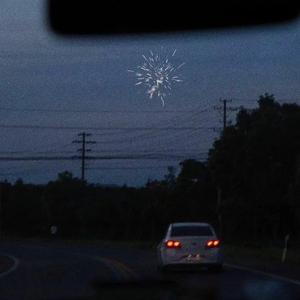 女性脱👙给我揉🐻的软
