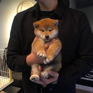 丈母娘和女婿的三级片看一下
