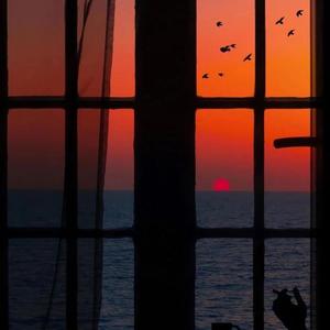 想看超清黄片视频
