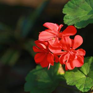 国产一级强奸伦乱
