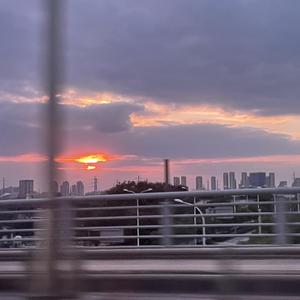 图形配音小鲤导航
