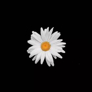 美女直播脱衣被操
