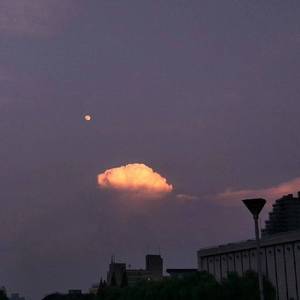 欧美人妖性爱另类在线
