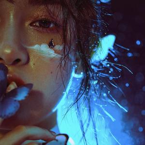 大黑鸡吧插逼视频
