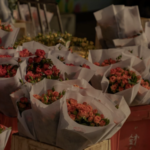 唐舞桐被❌吸乳脱内内游戏
