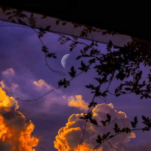 少爷被调教室跪趴sm男男微博
