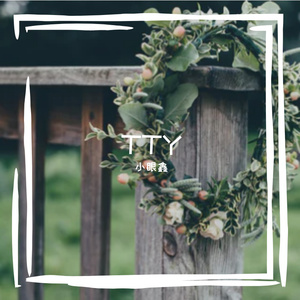 36种标准插法网站
