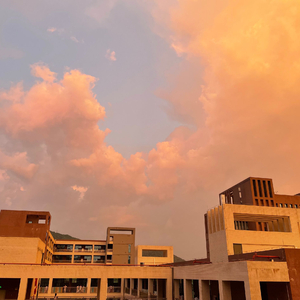 奶白官网登录入口
