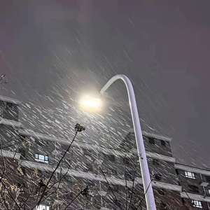 性受XXXX黑人XYX性爽
