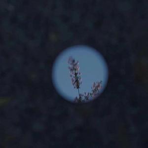 sm另类日韩欧美
