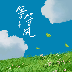 慢脚文化视频观看高清
