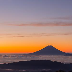 儿科检查隐私网站
