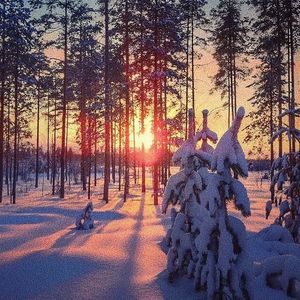 亚洲乱码尤物193yw在线播放
