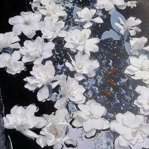 裸体美女开腿率
