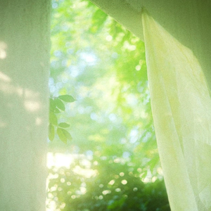 亚洲杯久久亚洲熟妇熟女 黑丝线
