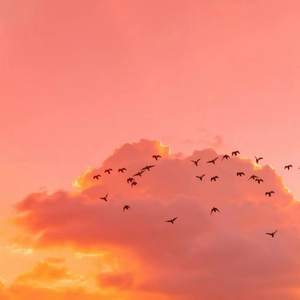 猛男GayGay自慰✅免费网站
