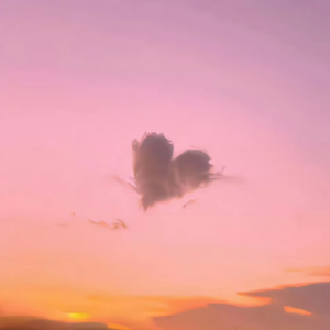 熟妇日本黑毛BwwHD
