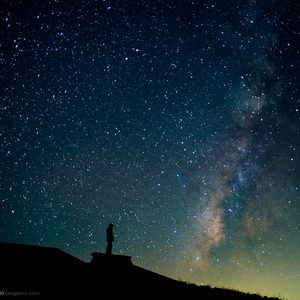 老司机福利免费
