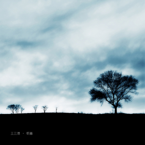 久久午夜综合久久
