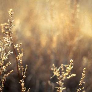 久久国产亚洲精品AV香蕉
