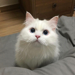 郭晶晶被实干20分钟视频
