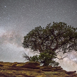 董文华三级片？
