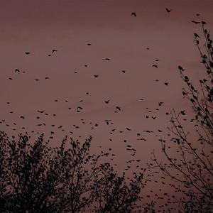 脱下裤子操逼的动漫
