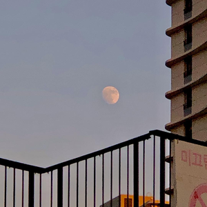 浙江乱子伦对白全集资源
