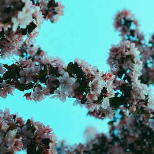 体育生爽擼又大又粗的雞巴自慰
