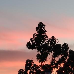 与子伦勾搭对白视频观看
