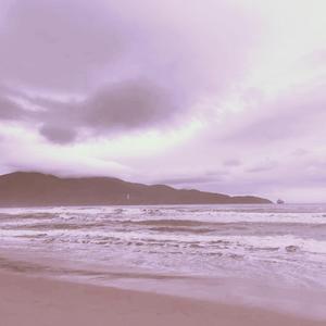 体育生爽擼又大又粗的雞巴电影
