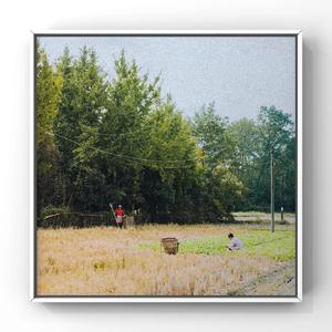 卓仕琳脱了内裤求被c视频
