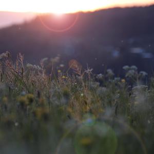 国产美女裸体的视频网站
