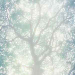 黑人巨荃大战乌克兰美女
