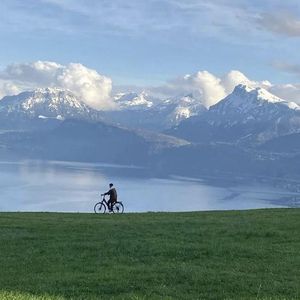 第四色中文综合网
