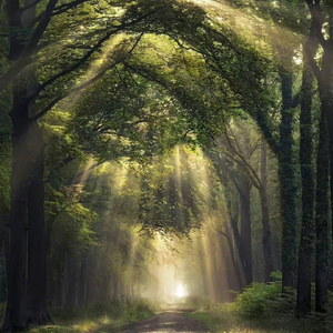 91❤️嫩草❤️jk
