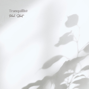 黄频视频大全免费的
