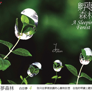 精品一区二区三区五区六区七区
