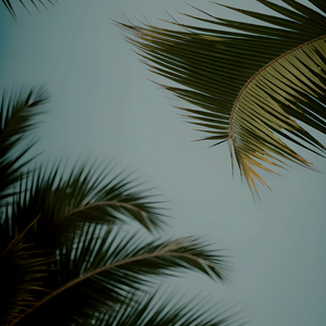 七十路の高齢熟女千代子下载
