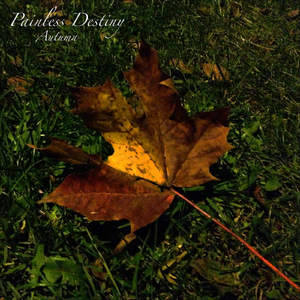 老太婆BBBB毛多自慰
