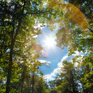 1024手机在线基地欧美
