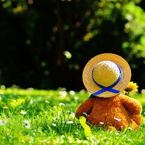 韩国高清毛片完整版
