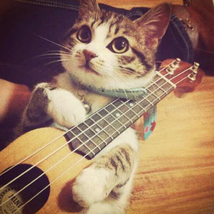 大鸡巴放在女生屁眼视频
