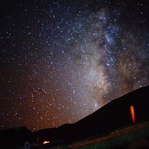 中国肏屄视频三级片
