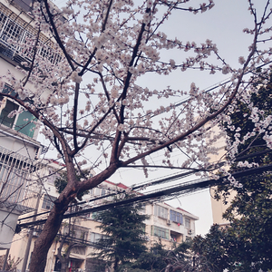 欧洲玩弄丰满少妇XXXXX1
