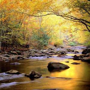 做受❌❌❌高潮AAAA游戏
