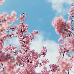 撩起老师旗袍挺进去玉足漫画
